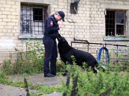 В Плесецком районе задержан подозреваемый в убийстве местного жителя