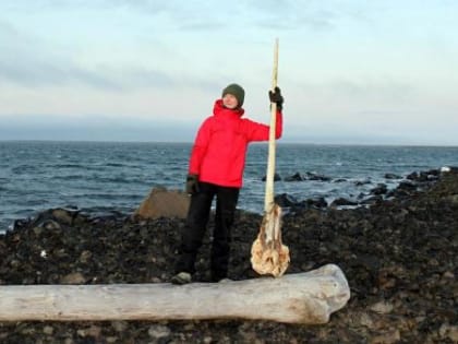 Ученые обнаружили на Земле Франца-Иосифа череп арктического единорога