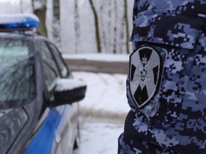 В Архангельске наряд Росгвардии задержал гражданина, подозреваемого в хищении алкоголя