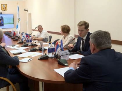 Доступность и качество медпомощи на отдалённых территориях обсудили в областном Собрании депутатов