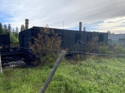Два человека погибли при ночном пожаре в Виноградовском районе