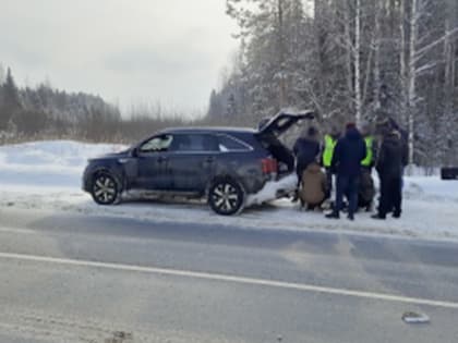 Котласские полицейские задержали мужчину с крупной партией наркотиков