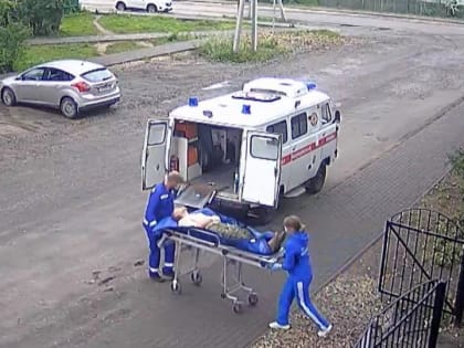 В Вельском районе мужчину укусила гадюка