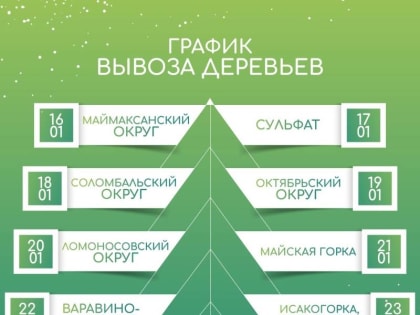 16 января стартует акция регоператора по сбору живых елей
