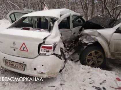 Под Северодвинском пьяный автоинструктор устроил ДТП