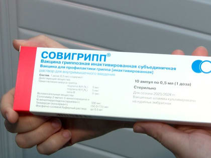 Привиться от гриппа лучше до наступления сезона простуд