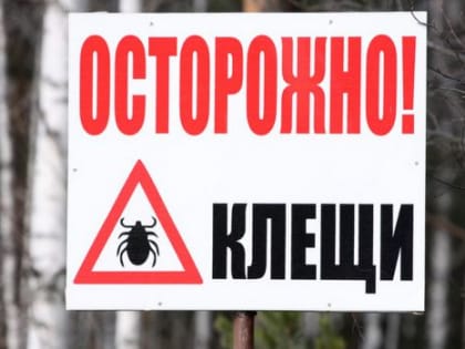 80 котлашан пострадали от клещей