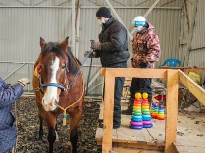 Конный клуб при поддержке гранта губернатора продолжает программу по иппотерапии