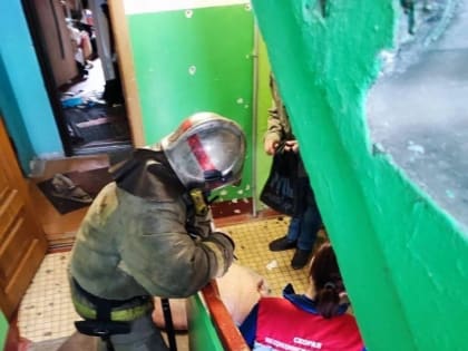 В Архангельске огнеборцы спасли свинью в квартирном пожаре