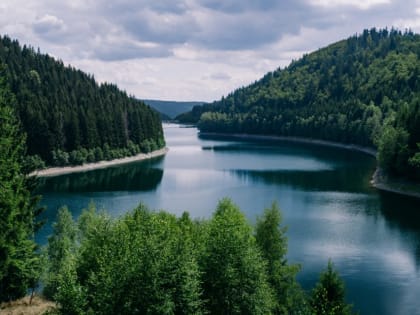 С молчаливого согласия равнодушных