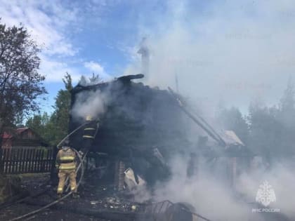 Все началось со счетчика. В северодвинском СНТ "Полярные зори" сгорела дача