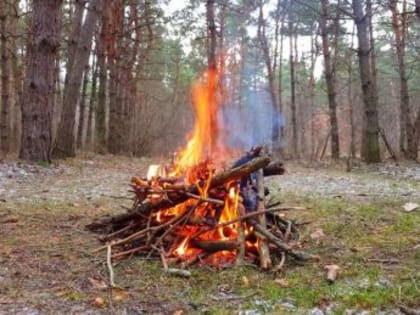Любители пожечь костры в лесу начнут платить штрафы