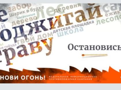 В Поморье за неделю ликвидировано 14 лесных пожаров