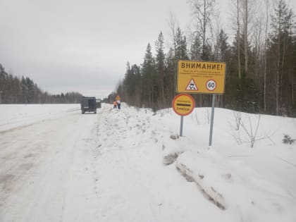 Закрытие движения на а/д ст. Паленьга — Светлый