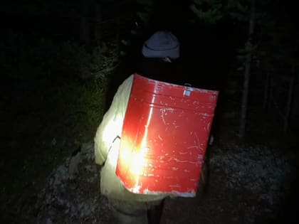 Под Северодвинском на болоте заблудился пенсионер