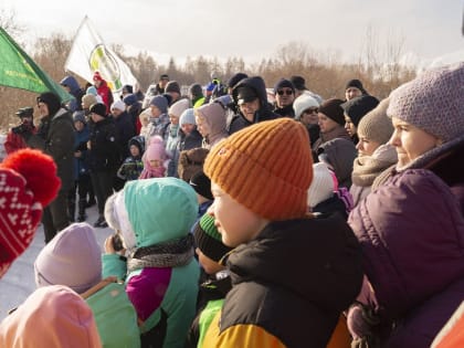 Спасение на воде закончилось заплывом моржей
