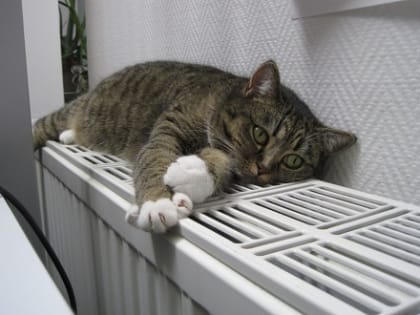 Начало отопительного сезона: ПАО «ТГК-2» разъясняет, как происходит пуск тепла