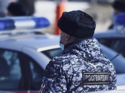 Северодвинский наряд Росгвардии задержал подозреваемую в хищении товара, объявленную судом в розыск