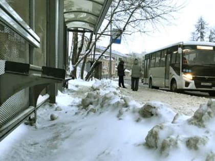Архангелогородцы «благодарят» мезенских дорожников за снежные кучи на остановках
