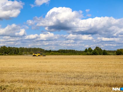 Москва придумала альтернативу зерновой сделке. Что предлагают