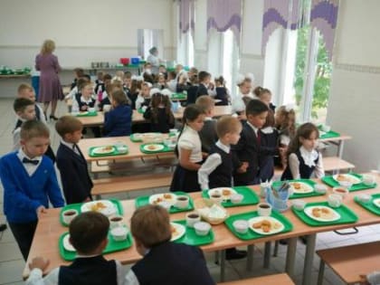 Горячее питание в школах станет обязательным