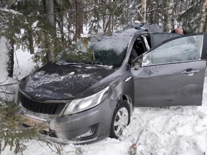 На трассе М-8 северодвинский пенсионер съехал в кювет