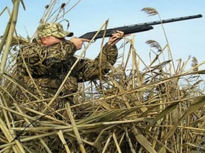 В Архангельской области из-за угрозы лесных пожаров переносится открытие охоты