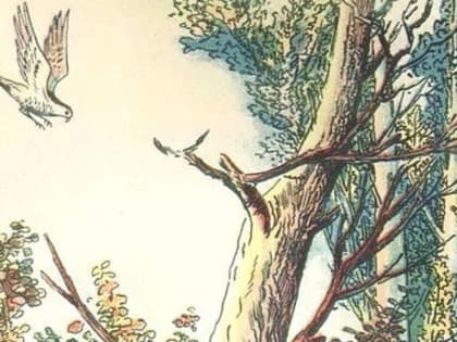 Читаем о случае из жизни двух охотников