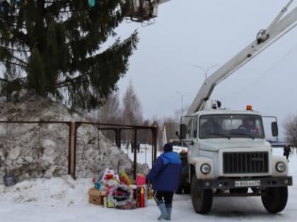 Главную елку Коряжмы привезли из Черемушского