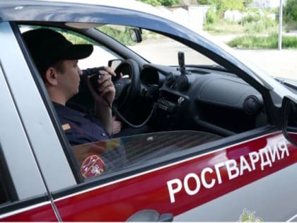 Как поморский " бабуин" в вологодском кабаке "отличился"