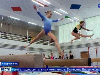 В Северодвинске прошёл турнир по спортивной гимнастике памяти Николая Божко