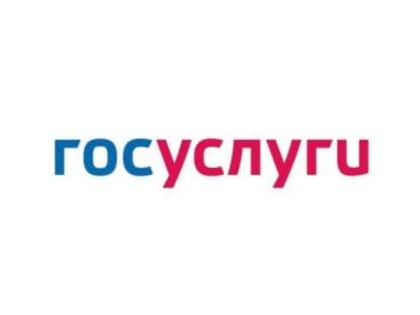 В России отменили скидку в 30 процентов на оплату госпошлин через «Госуслуги»