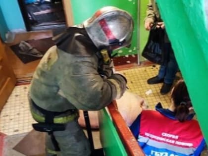 Из горящей квартиры в центре Архангельска пожарные вытащили свинью