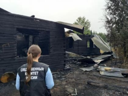 В Архангельской области алкогольная пирушка переросла в массовую гибель людей при пожаре