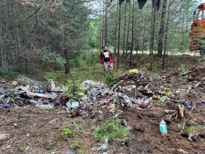 «ЭкоИнтегратор» помог активистам в Вельске убрать свалку, которую создали  «серые перевозчики»