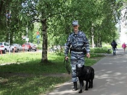 В Архангельске назвали самые криминальные районы города