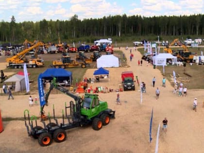 В Устьянах - всё ближе финал лесного чемпионата