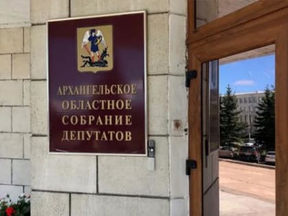 Стали известны фамилии всех прошедших в Архоблсобрание кандидатов в депутаты