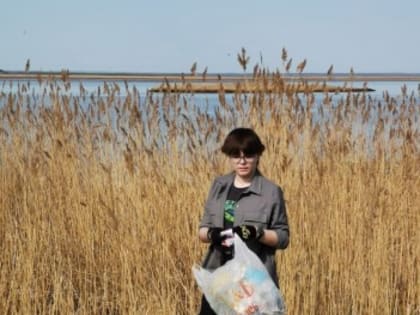 «Зелёная весна»: всё больше школ присоединяются к проекту