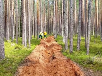В ПОМОРЬЕ ВЕДЕТСЯ АКТИВНАЯ РАБОТА ПО ПРОТИВОПОЖАРНОМУ ОБУСТРОЙСТВУ ЛЕСОВ