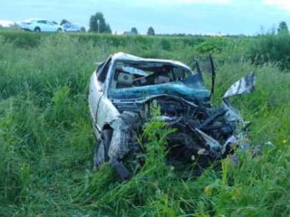 Водитель иномарки погиб при съезде в кювет в Красноборском районе