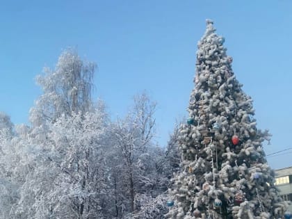 Округ Варавино-Фактория приобретает новогоднюю атрибутику