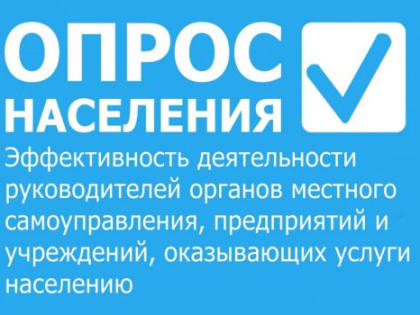 Проводится опрос