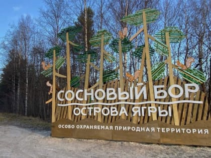 Отдыхайте в Ягринском бору без нарушений!