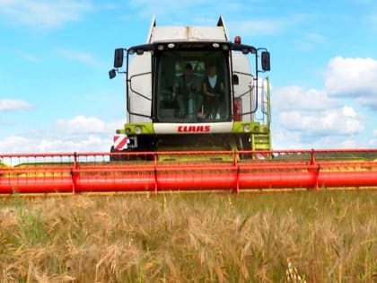 Кормозаготовительная кампания в Поморье идёт по графику