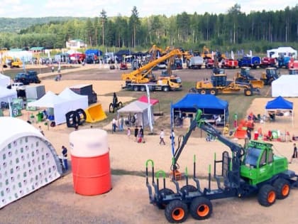 Устьяны - как центр развития лесопромышленного комплекса страны