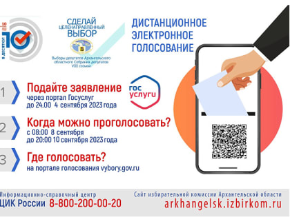 Подать заявление для участия в дистанционном электронном голосовании можно через портал «Госуслуги»