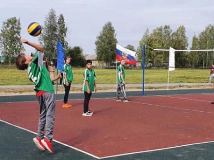 Этим летом жители Архангельской области смогут больше заниматься спортом на улице