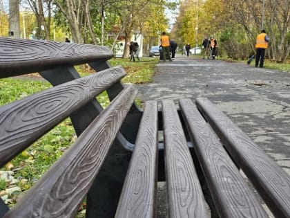 Глава Архангельска Дмитрий Морев рассказал об антивандальных скамейках