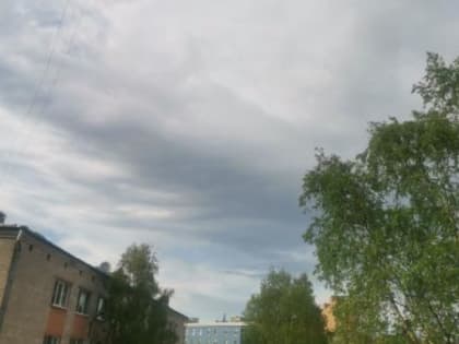 Синоптики предупредили о шквалистом ветре в Архангельской области